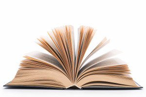 Second Circuit Holds That the Google Digital Books Project Is 